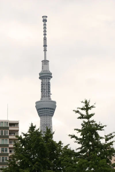 東京スカイツリー — ストック写真
