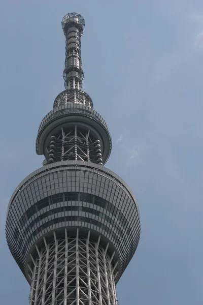 Pohon langit Tokyo — Stok Foto