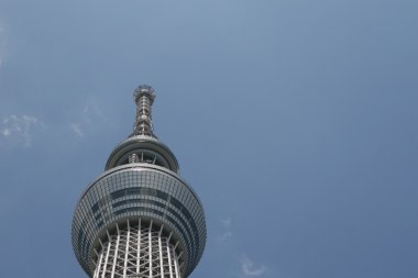 Tokyo Sky ağaç