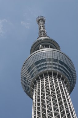 Tokyo Sky ağaç