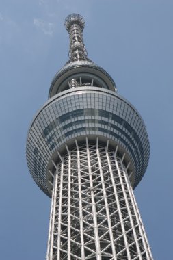 Tokyo Sky ağaç