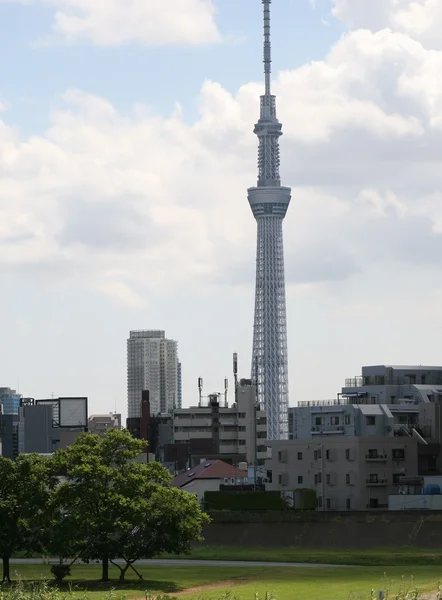 stock image Sky tree