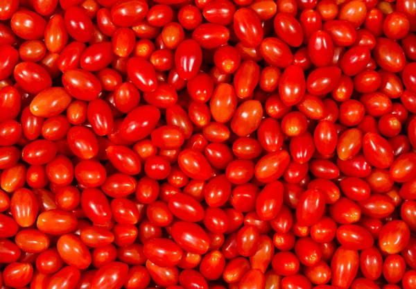 Roma Tomatoes — Stock Photo, Image