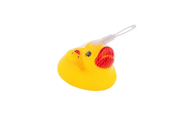 Pato de borracha amarelo com patinhos — Fotografia de Stock