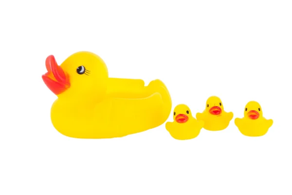 Yellow gum duck Stock Photo by ©stable400 24674967