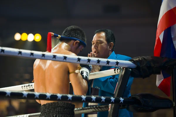 Muay Thai campeón Petchmonkong Petchfocus —  Fotos de Stock