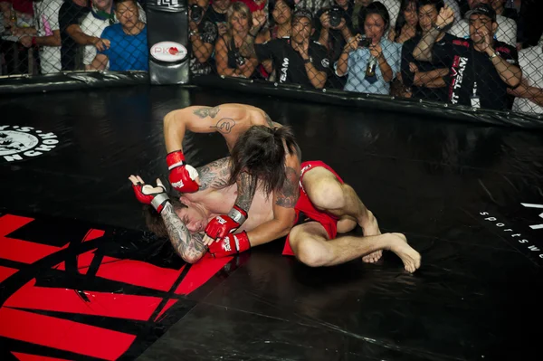 Cage fighting event — Stock Photo, Image