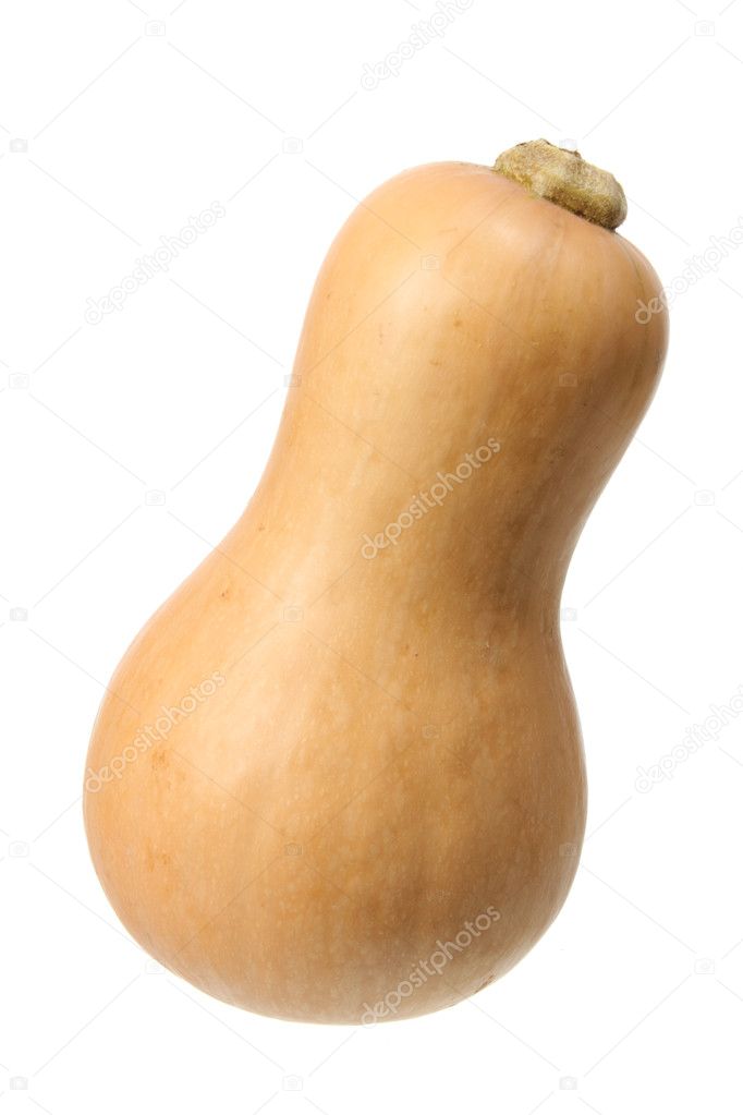 butternut pumpkin | 图库照片 08 newlight #10946415