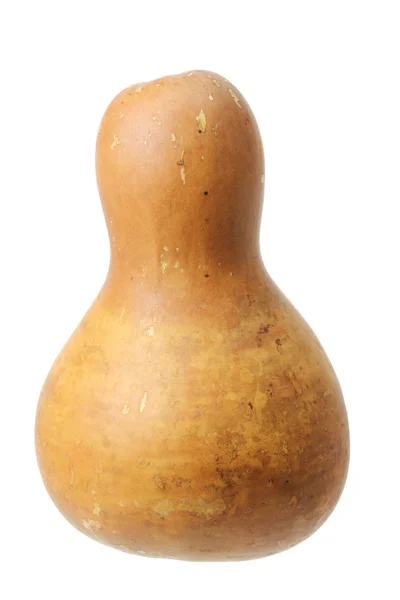 Gourd cinese — Foto Stock