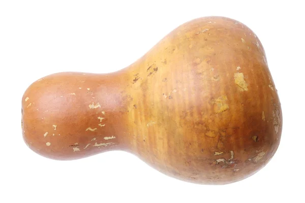 Gourd cinese — Foto Stock