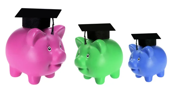 Piggy Banks with Mortarboards — Stock Photo, Image