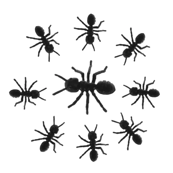 Hormigas de juguete —  Fotos de Stock