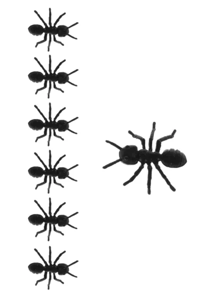 Игрушечные муравьи — стоковое фото