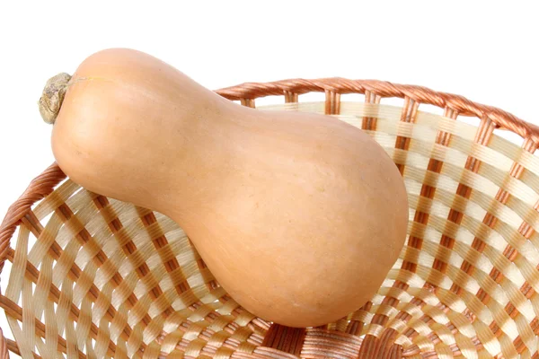Butternut Pumpkin in Basket — Stock Photo, Image