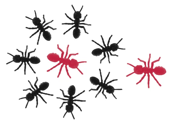 Игрушечные муравьи — стоковое фото