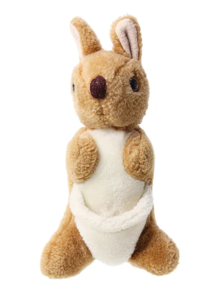 Soft Toy Kangaroo — Stock Photo, Image