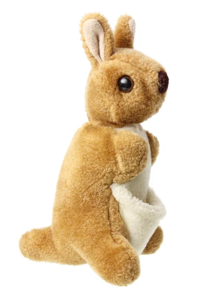 Zacht stuk speelgoed kangoeroe — Stockfoto
