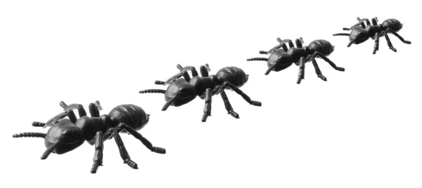 Linha de formigas de brinquedo — Fotografia de Stock