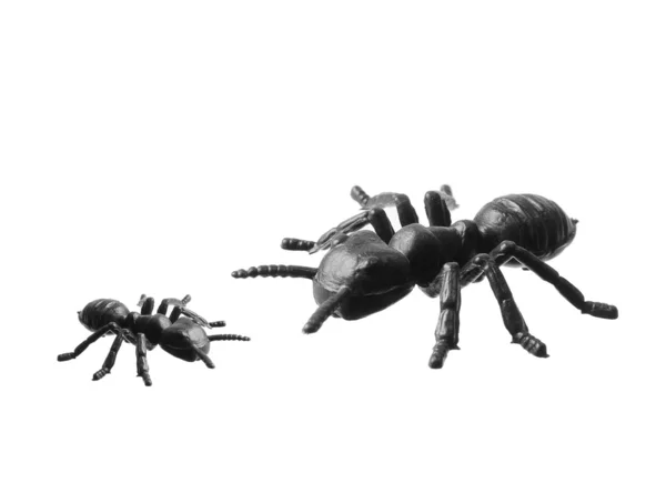 Leksak myror — Stockfoto