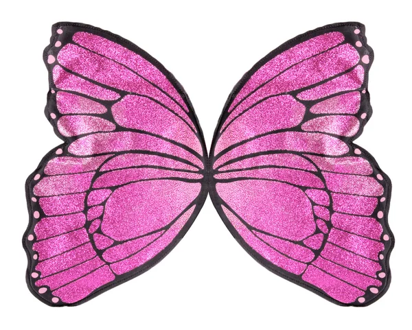 Butterfly Wings — Stock Photo, Image