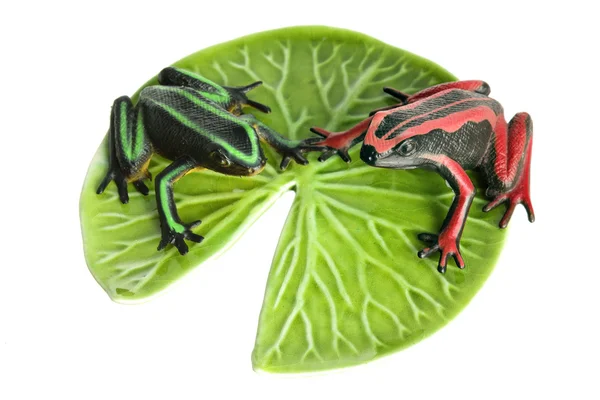 Żaby na liściu lotosu — Zdjęcie stockowe