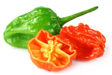 Naga chili morich Bangladeş