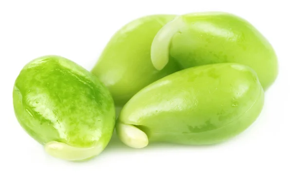 Sementes comestíveis de feijão-jacinto — Fotografia de Stock
