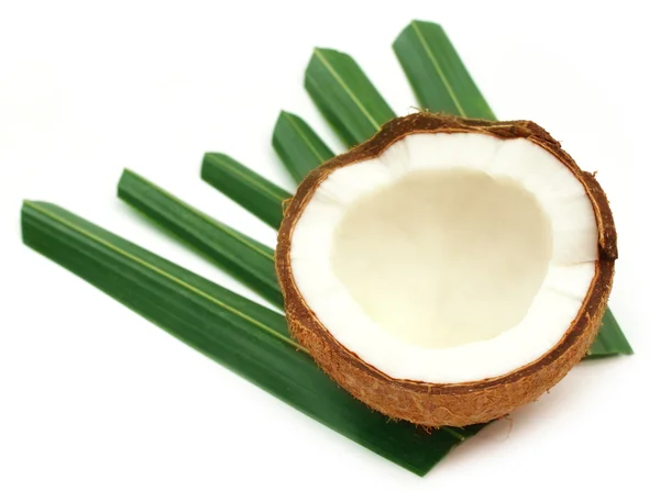 Färsk kokos med gröna blad — Stockfoto