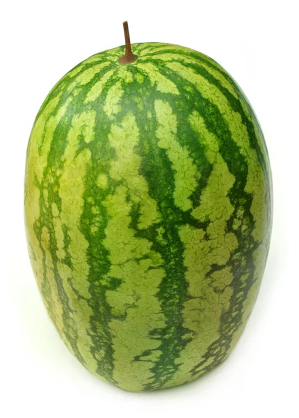 Celý meloun — Stock fotografie