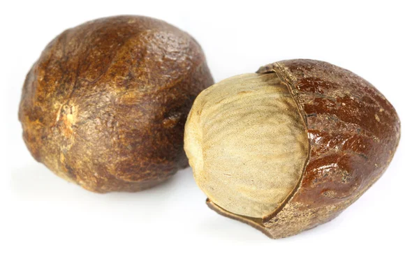 Nutmeg или Jaifal Spice — стоковое фото