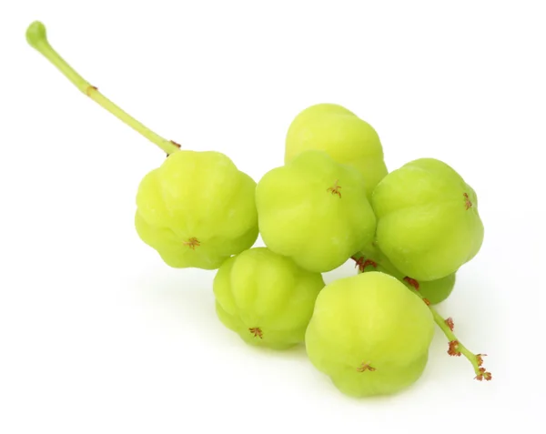 Orboroi fruit — Stock Photo, Image