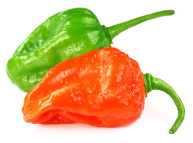 Naga morich Bangladeş