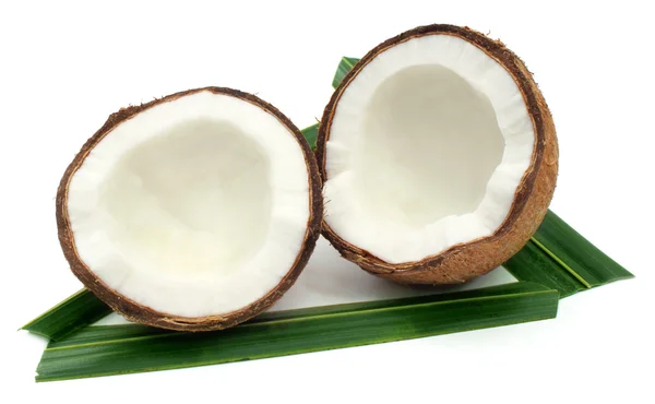 Čerstvý kokos se zelenými listy — Stock fotografie