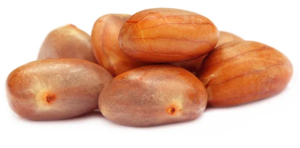 Edible seeds of jackfruit — Stock Photo, Image