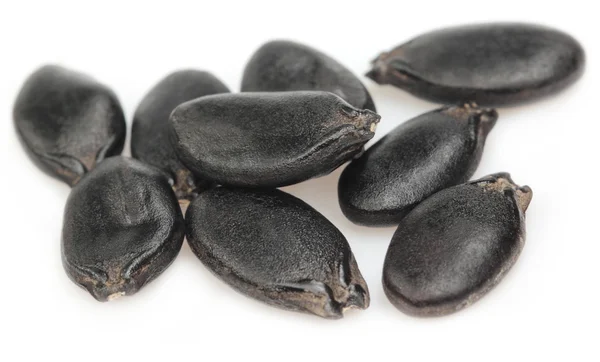 Seeds of ridge gourd — Stock Photo, Image