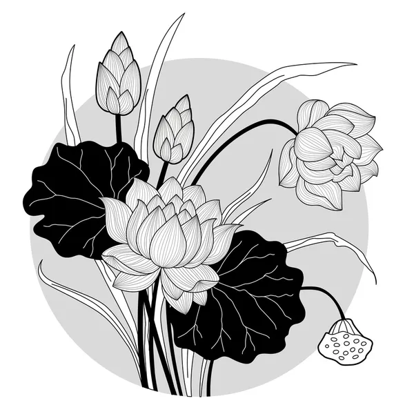 Dekoratif lotus çiçeği — Stok Vektör