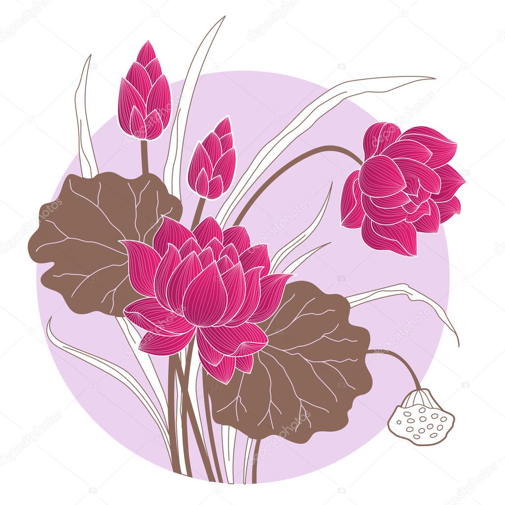 Decorative Lotus flower — Stock Vector © niki2die4 #11501940