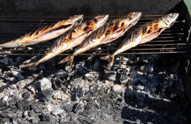 Grilled fish on barbecue clipart