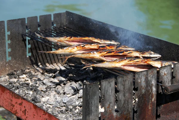 Gegrilde vis op de barbecue — Stockfoto