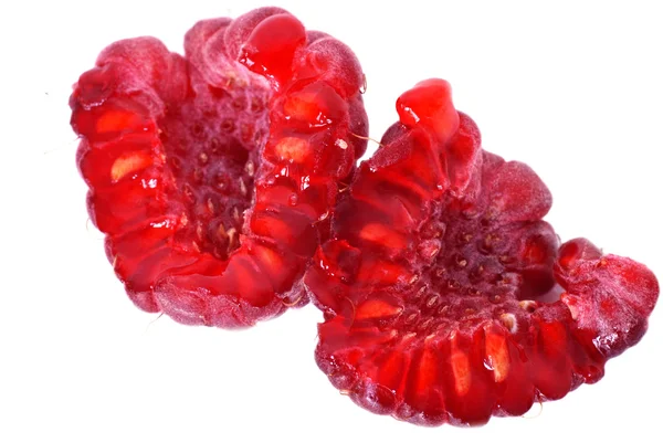 Frambuesa roja — Foto de Stock