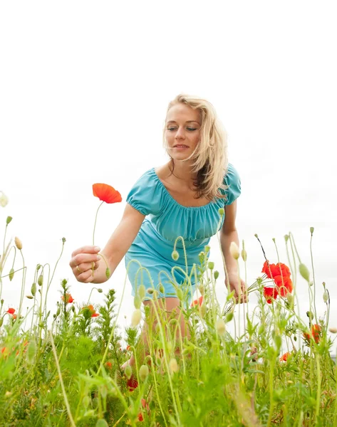 Woman picking a bouquet — Stock Photo, Image