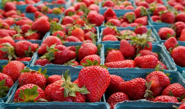 Αγορές φράουλες Εικόνα Αρχείου