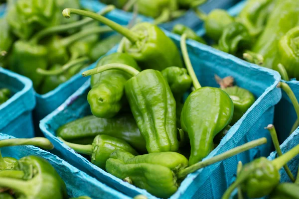 Pimentos verdes quentes no mercado — Fotografia de Stock