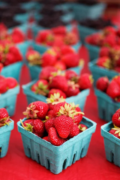 Narrow focus strawberries — Stock Photo, Image