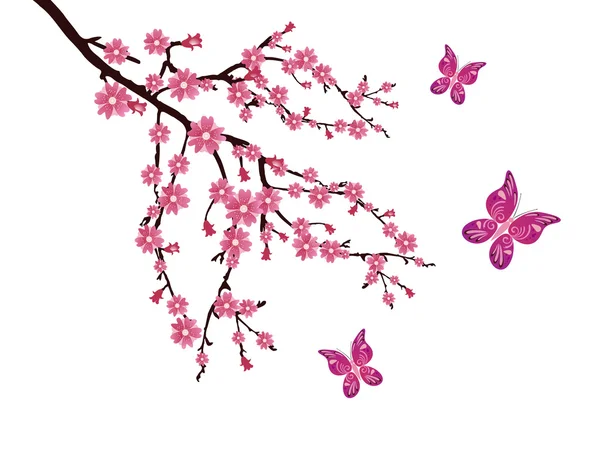 Fiore di ciliegio — Vettoriale Stock