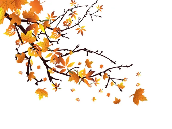 Autumn branch — Stock Vector