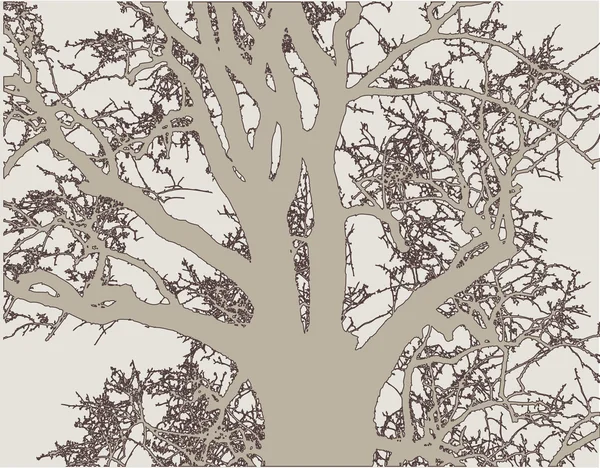 Silhueta de uma árvore em sombras de cinza —  Vetores de Stock