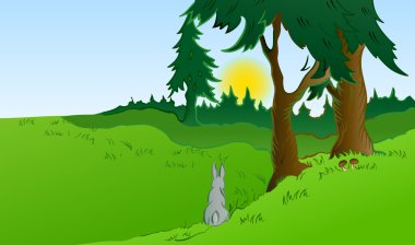Hares in the wonderland. Vector