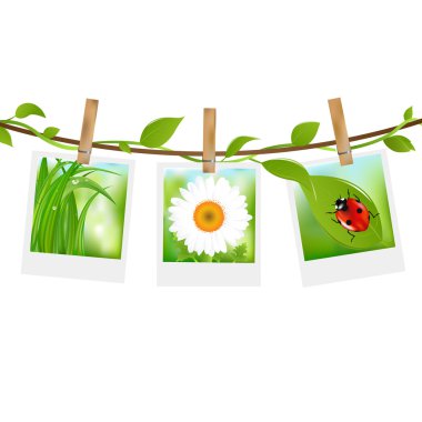 Summer Photos With Clothespins clipart