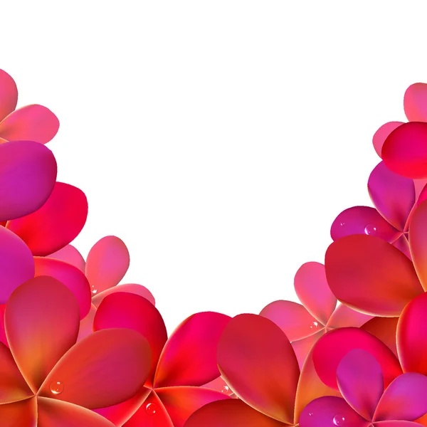 Cadre Frangipani rose — Image vectorielle